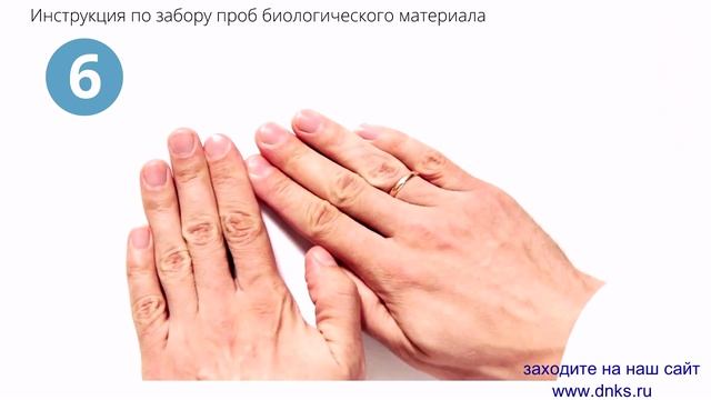 Видеоинструкция по забору биоматериала - www.dnks.ru