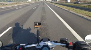 Benda Chinchilla 300