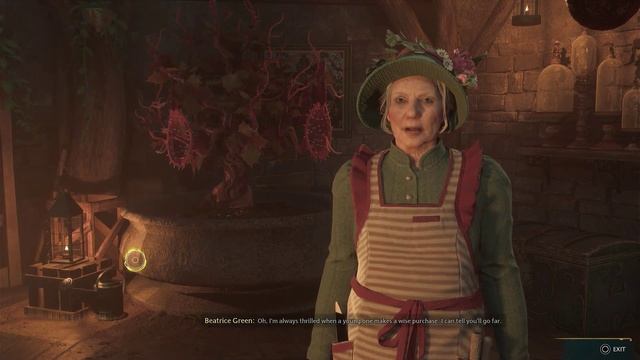 Acquire all three combat plants and use them simultaneously Hogwarts Legacy смотреть онлайн