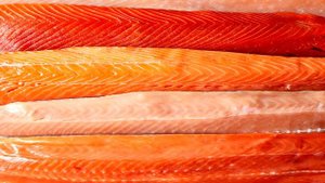 Какой цвет мяса у лосося, оранжевый, розовый или молочно-белый?