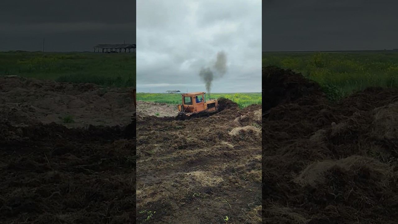 #дт75 смотреть онлайн