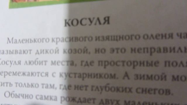Энциклопедия, Атлас животных, книга для детей от 5 лет, короткий обзор. смотреть онлайн