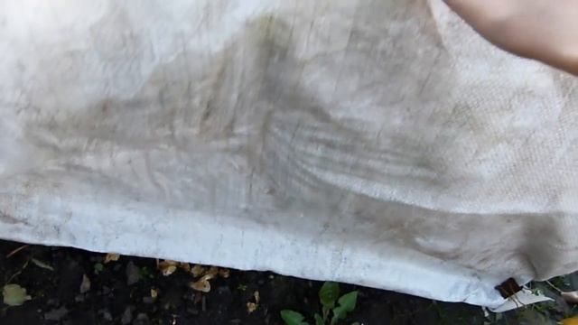 НОВОСТИ !!!в укрытии роз! смотреть онлайн