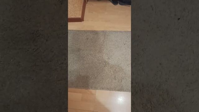 тестируем средство от фаберлик"пенный очиститель ковров и обивки" смотреть онлайн