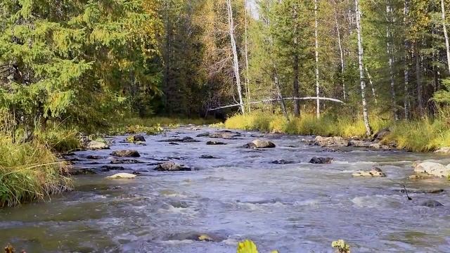 Национальный парк 'Зюраткуль', Челябинская область смотреть онлайн