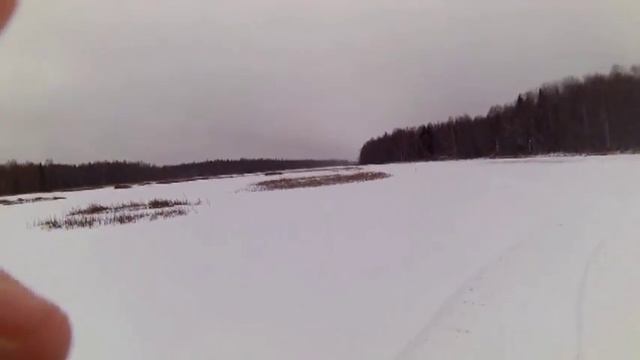 Кручу верчу, поймать рыбу хочу  Декабрьский сюрприз от природы