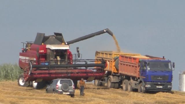 уборка пшеницы комбайном ПОЛЕСЬЕ GS 12 A1 смотреть онлайн
