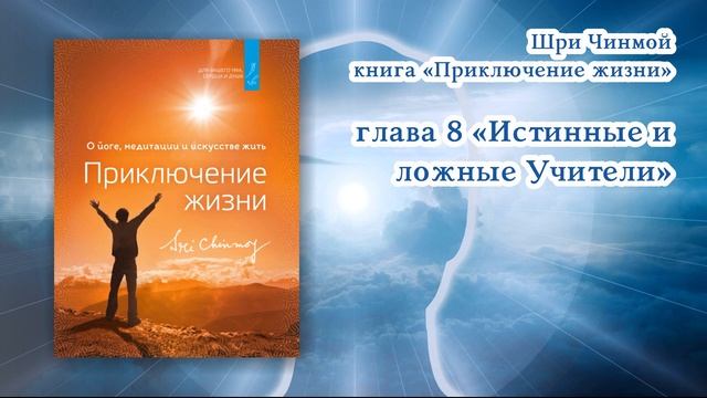Часть 8 "ПРИКЛЮЧЕНИЕ ЖИЗНИ" Шри Чинмой  АУДИОКНИГА