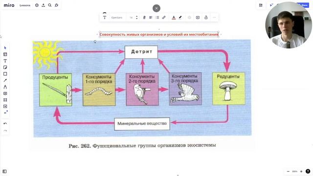 Экология ЕГЭ по биологии 2023 смотреть онлайн