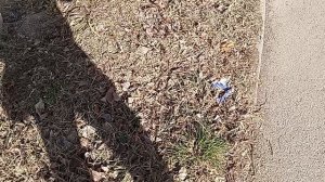 Кисловодский бардак!!! Ул. Набережная. Ростелеком. 10.01.2024 г.