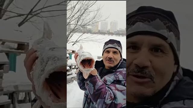 Щука-Монстр хочет человека заглотить.Видео от подписчика.