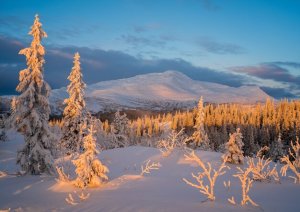 Артём Гельман - Блатная песня
