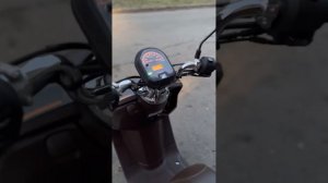 Honda Dunk AF78 - краткий обзор. Проданный!