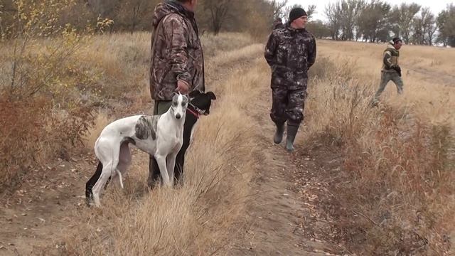 Ставропольские состязания 2018г смотреть онлайн