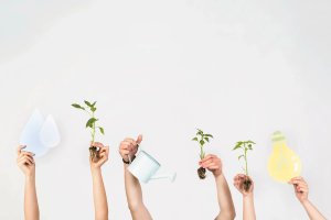 Мытищинцы поделились своими способами заботы о природе