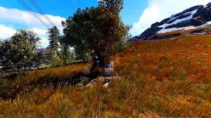 RUST — Ткань. Где найти и как добыть