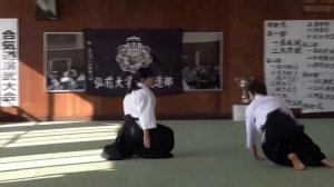 Aikido - Hanmi Handachi Waza