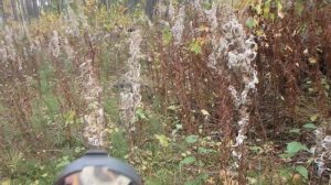 Ориентирование в лесу. Азимут по компасу