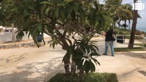 Обзор отеля Melia Zanzibar 5* на Занзибаре (Танзания) от менеджера Discount Travel