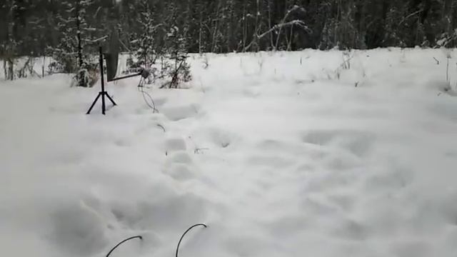 Спутник в тайге смотреть онлайн