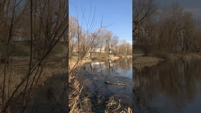 Озеро "Вербне" 30.03.2021 №9