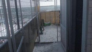 Мариупольские голуби в небе Урзуфа