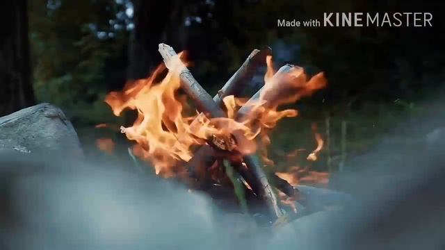 Костёр. Relax. Релаксирующий треск костра для сна. Дрова горят. Природа. Медитация смотреть онлайн
