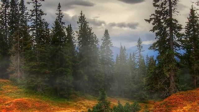 Красивая фортепианная музыка для души /Romantic piano music смотреть онлайн