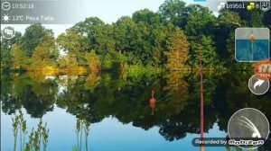 Как поймать обыкновенную щуку, щуку маскинонг,судака,и сома.в  my fishing world