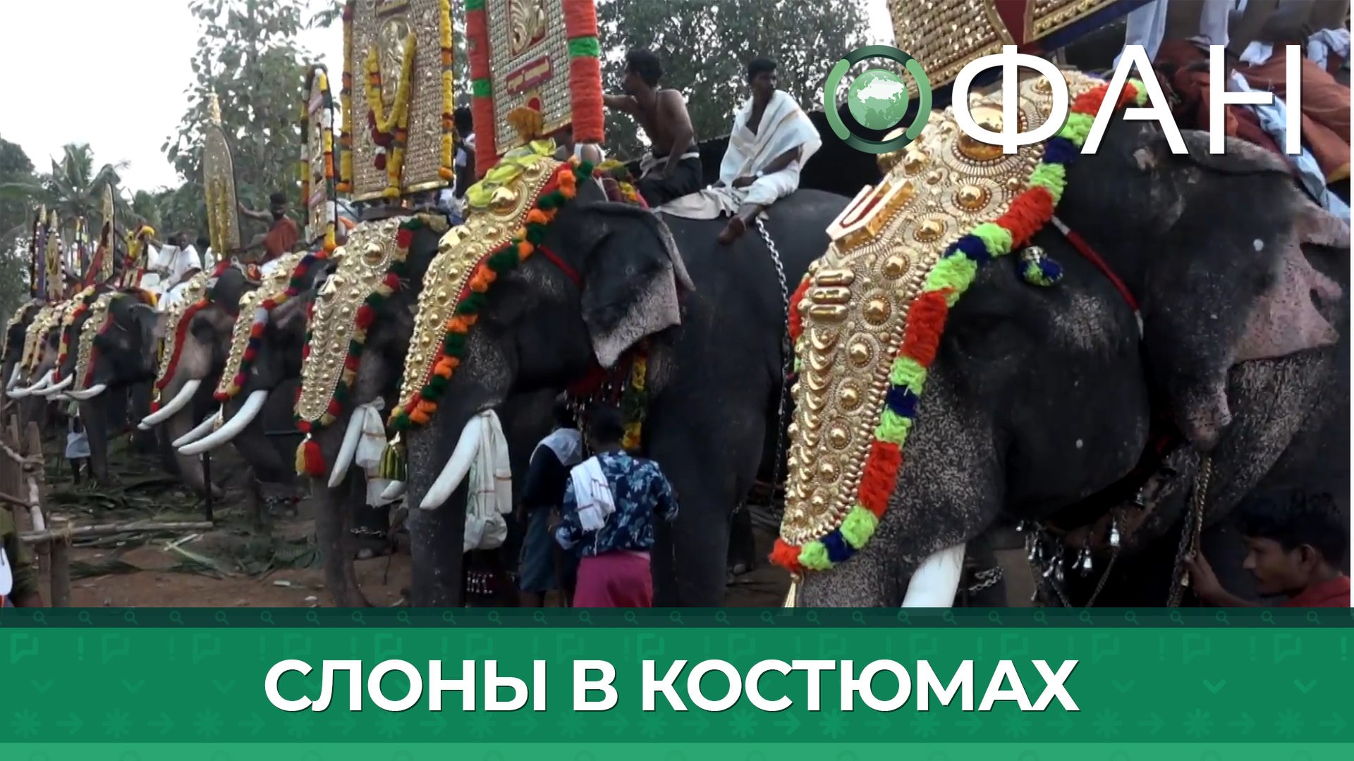 Фестиваль слонов в индии