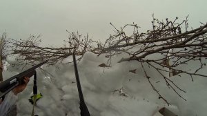 ОХОТА НА ГУСЯ. Налеты гусей. Замедленное 4