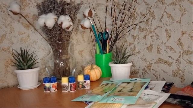 Інтернет магазин насіння Bonus Flower. Насіння квітів та овочів, відгук. Переваги та недоліки.