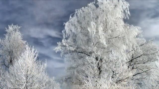 "ТЫ ЗИМА, ТЫ ЗИМА" Шувалова Светлана смотреть онлайн