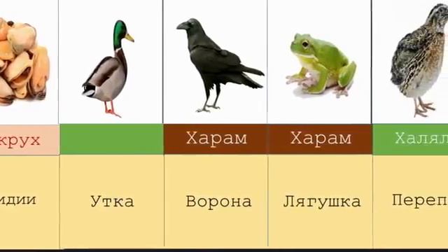 харам  халал