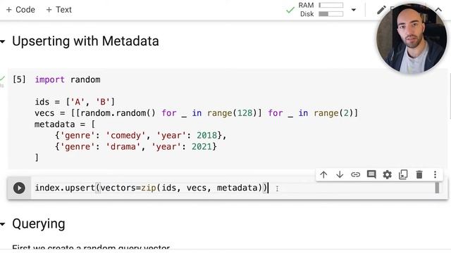 Pinecone #6 - Metadata Filters смотреть онлайн