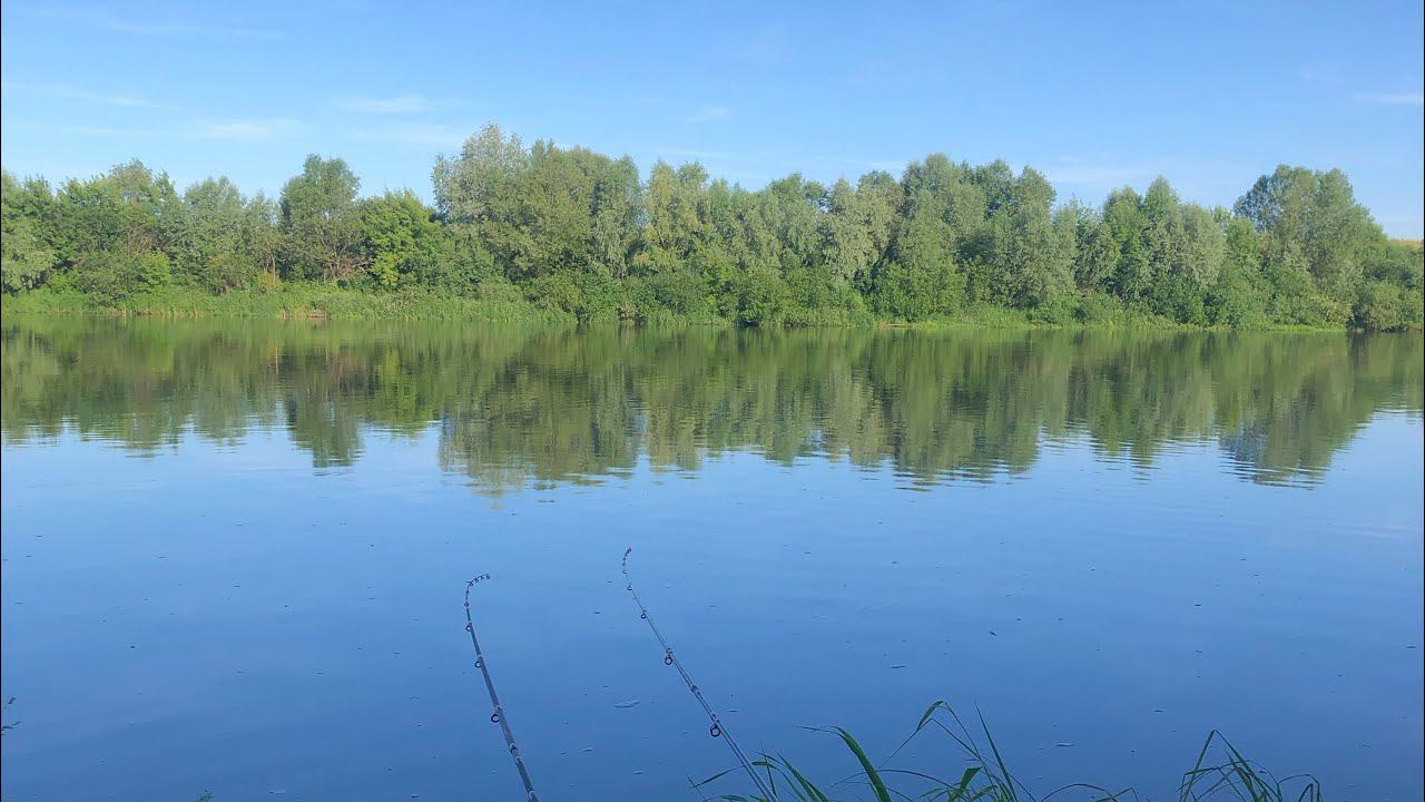 Рыбалка на ОКЕ / Не МОГЛИ достать РЫБУ 20 минут / ФИДЕР на сильном течение смотреть онлайн