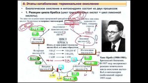 3_FFC_Lect3_ZAO_Динамика