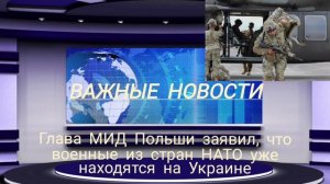 Глава МИД Польши заявил, что военные из стран НАТО уже находятся на Украине