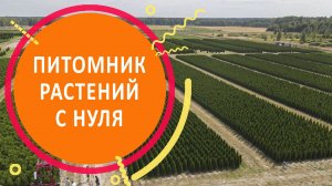 Как выйти на самоокупаемость за 4 года?