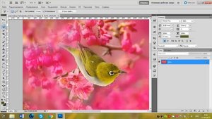 Как убрать лишнее с фото в фотошопе. Photoshop.