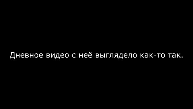 Барсуки в городе