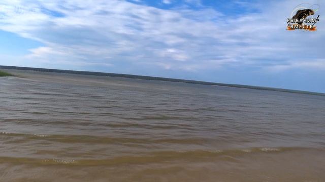 Рыболовный фестиваль группы Кузнецк-FISH (1-2,06,2019г) смотреть онлайн