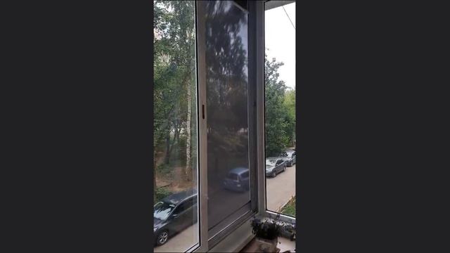 Антипыль