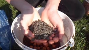 Спод микс для ловли карпа