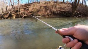 I LOVE TROUT FISHING!