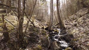 ? Сплав по реке Систа / Обзор маршрута / Разрушенная Плотина и Рыбные места / КОПОРЬЕ