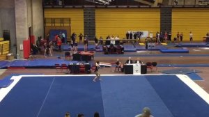 2016 Angelina Liu Level 9 Region 3 Regionals Floor Routine