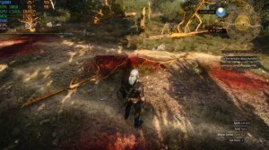 The Witcher 3 : Ryzen 5 5600x + RTX 3060 1080p benchmarks!