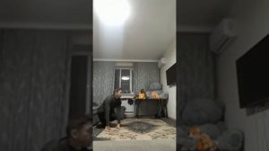 Волк и Ягнёнок