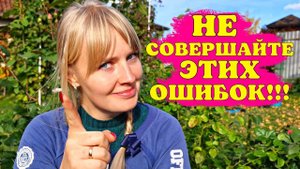 РОЗЫ ПОЧЕРНЕЮТ! Не СОВЕРШАЙТЕ ЭТИХ ОШИБОК перед укрытием!